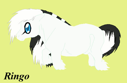 Ringo Animation By TowaTheStallion45 On DeviantArt ringo-animation-by-towathestallion45-on-deviantart