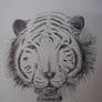 White Tiger