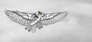 Magnificent owl in flight