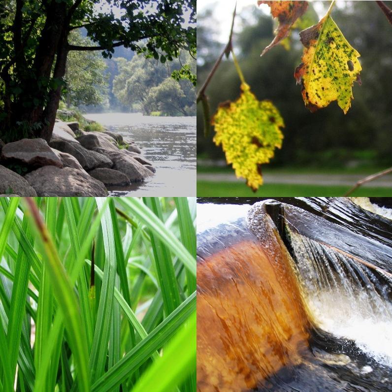 River in Late Summer