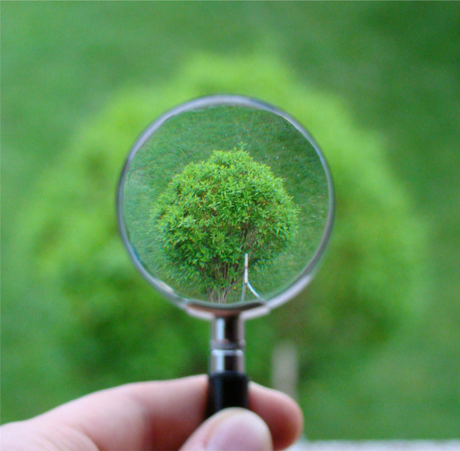 Effet Loupe By Crazypens68 On Deviantart Effet Loupe By Crazypens68 On Deviantart