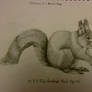 Red Squirrel Grey Pencil drawing