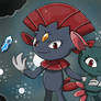 Weavile and Sneasel
