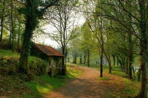 Old watermill...