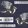 Dragon Adopt | Auction | CLOSED