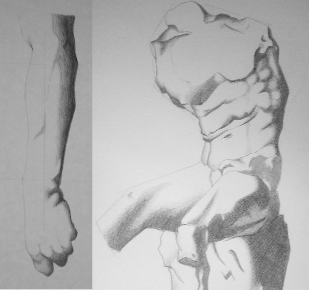 Drawing body parts