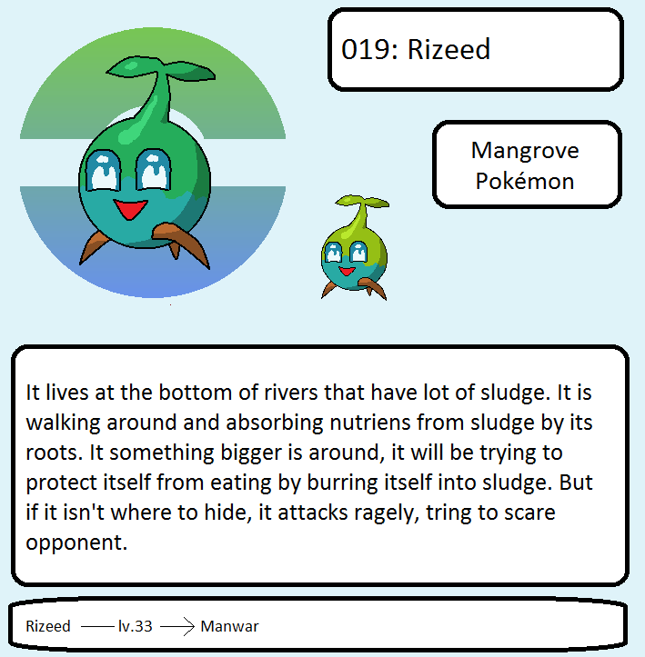 019: Rizeed