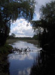 Park in Dessau