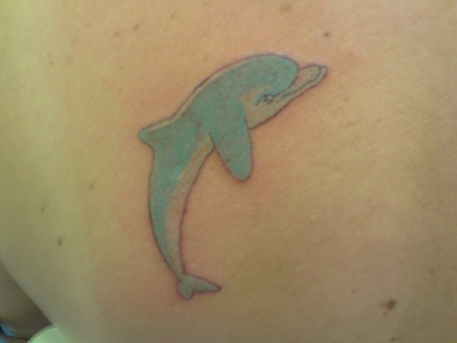 Dolphin tattoo