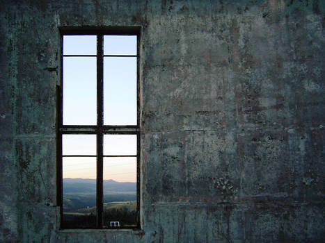 Window