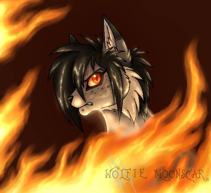 Warrior Cats Design #11) Firestar by Wolfie-Moonscar -- Fur