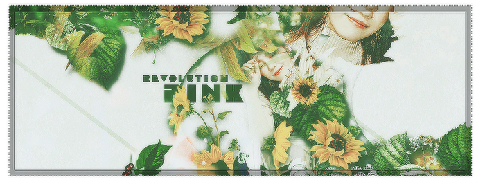 PINK VOLUTION _ APNK COMEBACK