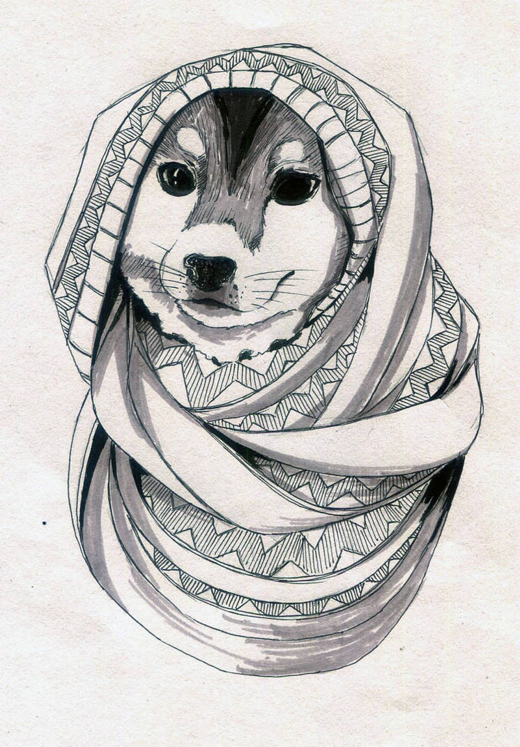 Shiba Dog by kobekun on DeviantArt