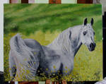 Horse Oil Painting by AnastasiasArts