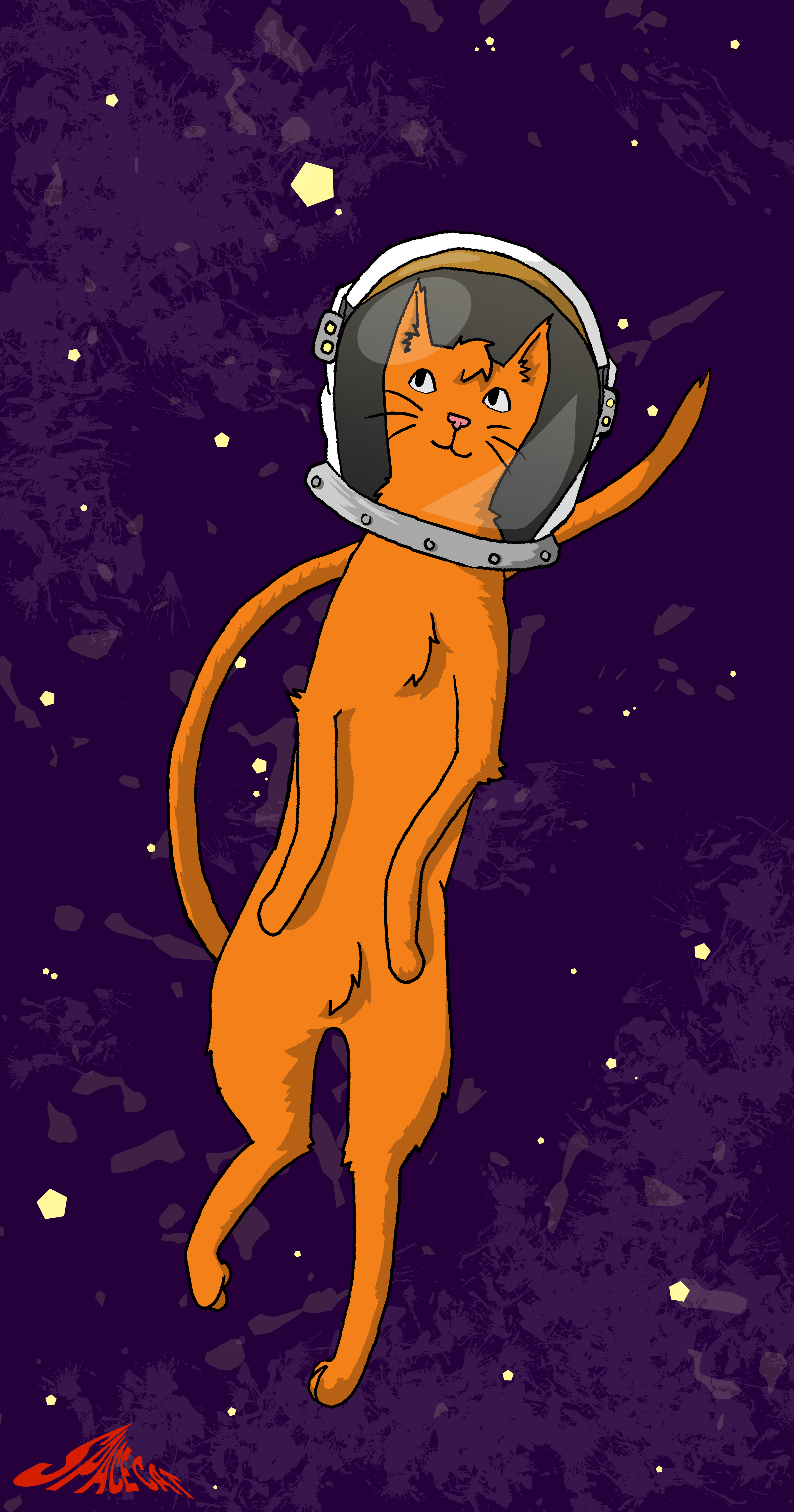 Space Cat