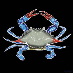 Speedpaint: Blue Crab