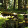 Stream
