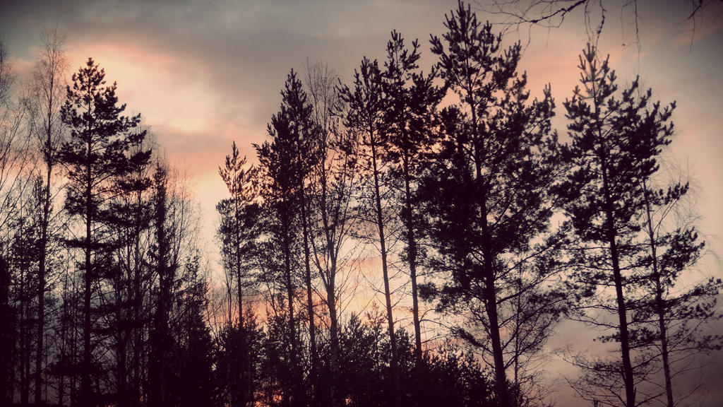 Sunset Shadow Protection sunset shadows by piercethesirens on DeviantArt