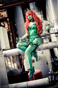 Poison Ivy