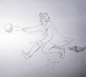 Quidditch Player Chasing