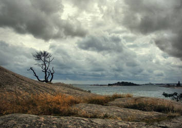 The Gathering Clouds