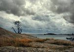 The Gathering Clouds by Pajunen