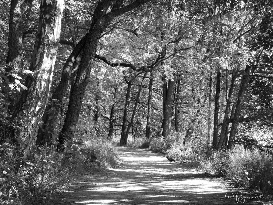 Path to Seurasaari