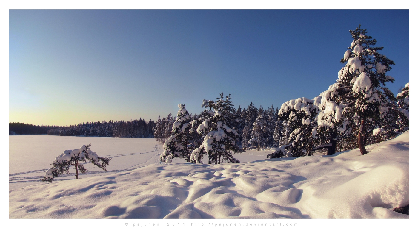 Cold and Sunny Winter Day