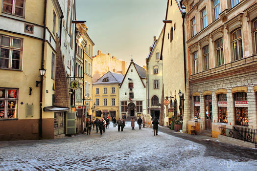 Tallinn City Life