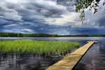 After the rain by Pajunen