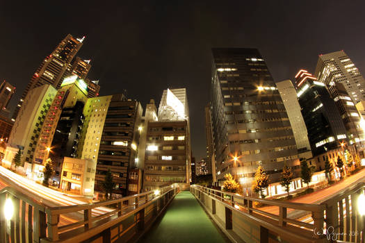 Night walk in Tokyo