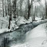 A brook in winter