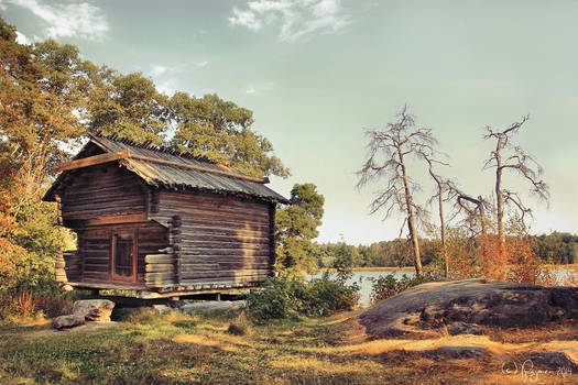 Old shed