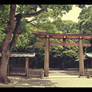 Meiji Shrine Torii