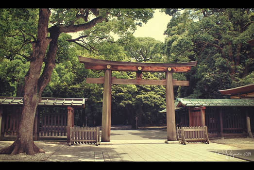 Meiji Shrine Torii