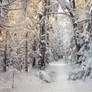 Snow World