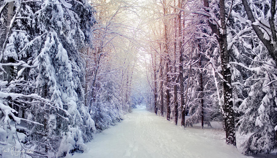 Winter Road by Pajunen