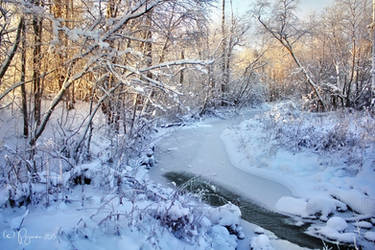 Winter Brook