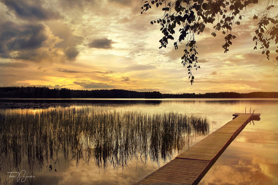 Warm summer evening