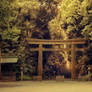 Shinto Gate