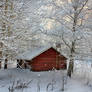 Red shed in winter