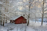 Red shed in winter