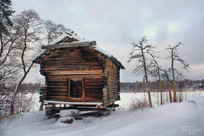 Old shed in winter