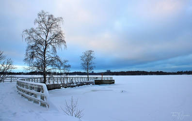 Snowy Jetty II