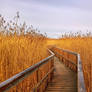 Nature Trail