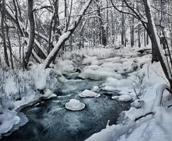 Snowy River