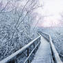 Frozen Path
