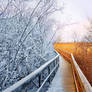 Winter is Coming