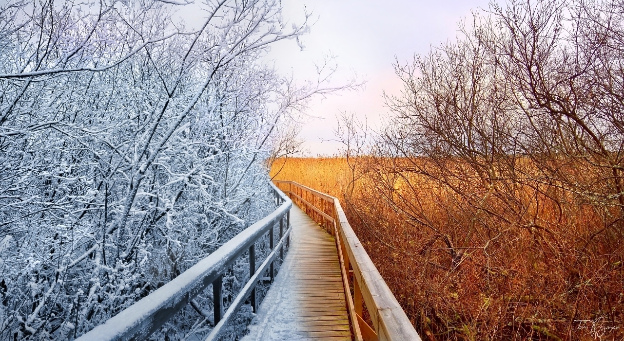 Winter is Coming