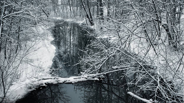 Winter Brook